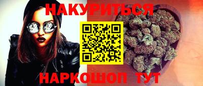 крисы Будённовск