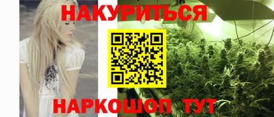 крисы Будённовск