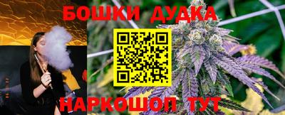 крисы Будённовск
