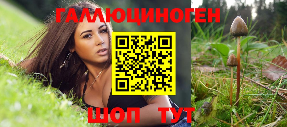 Псилоцибиновые грибы ЛСД Кулебаки